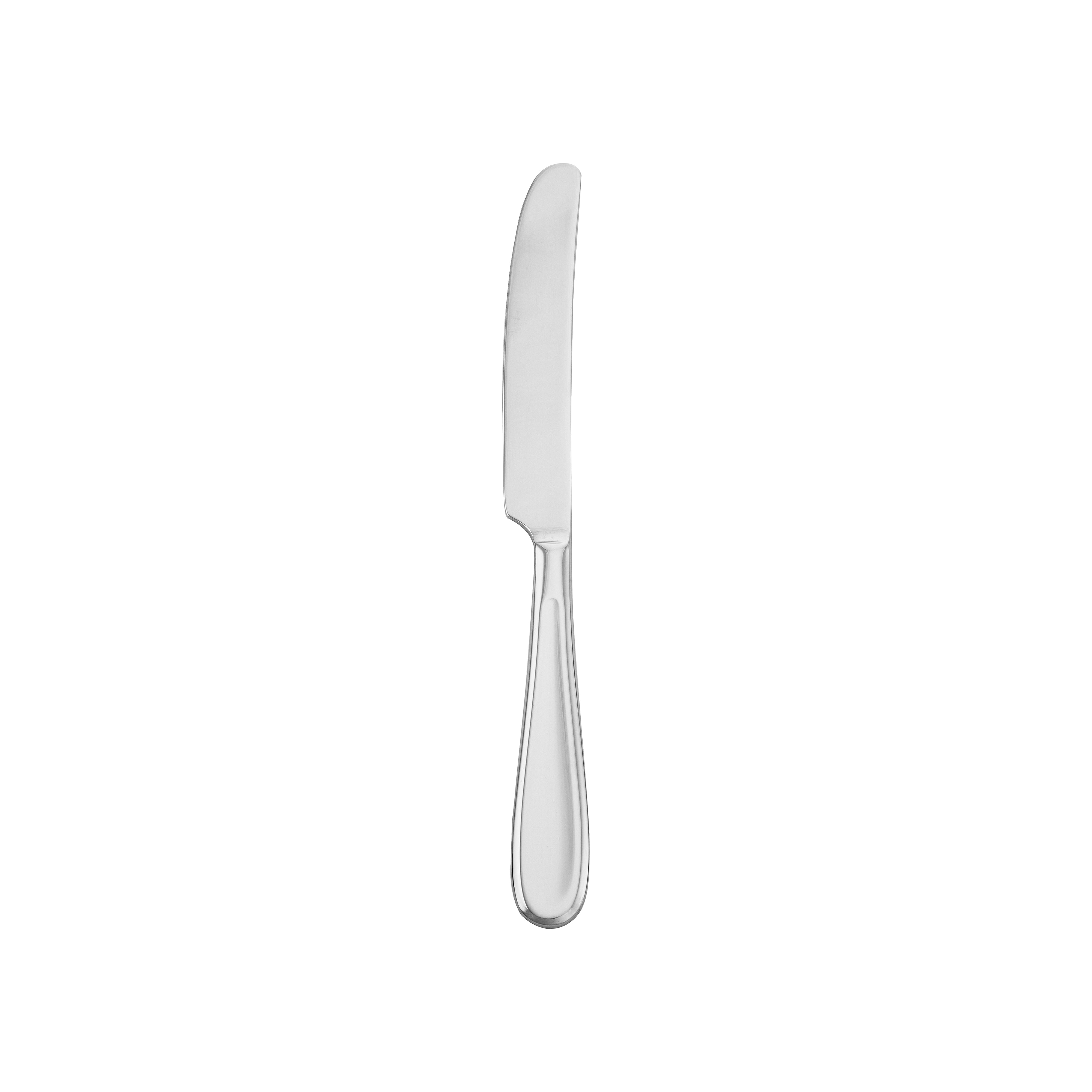 Orbiter European Dinner Knife 9.62