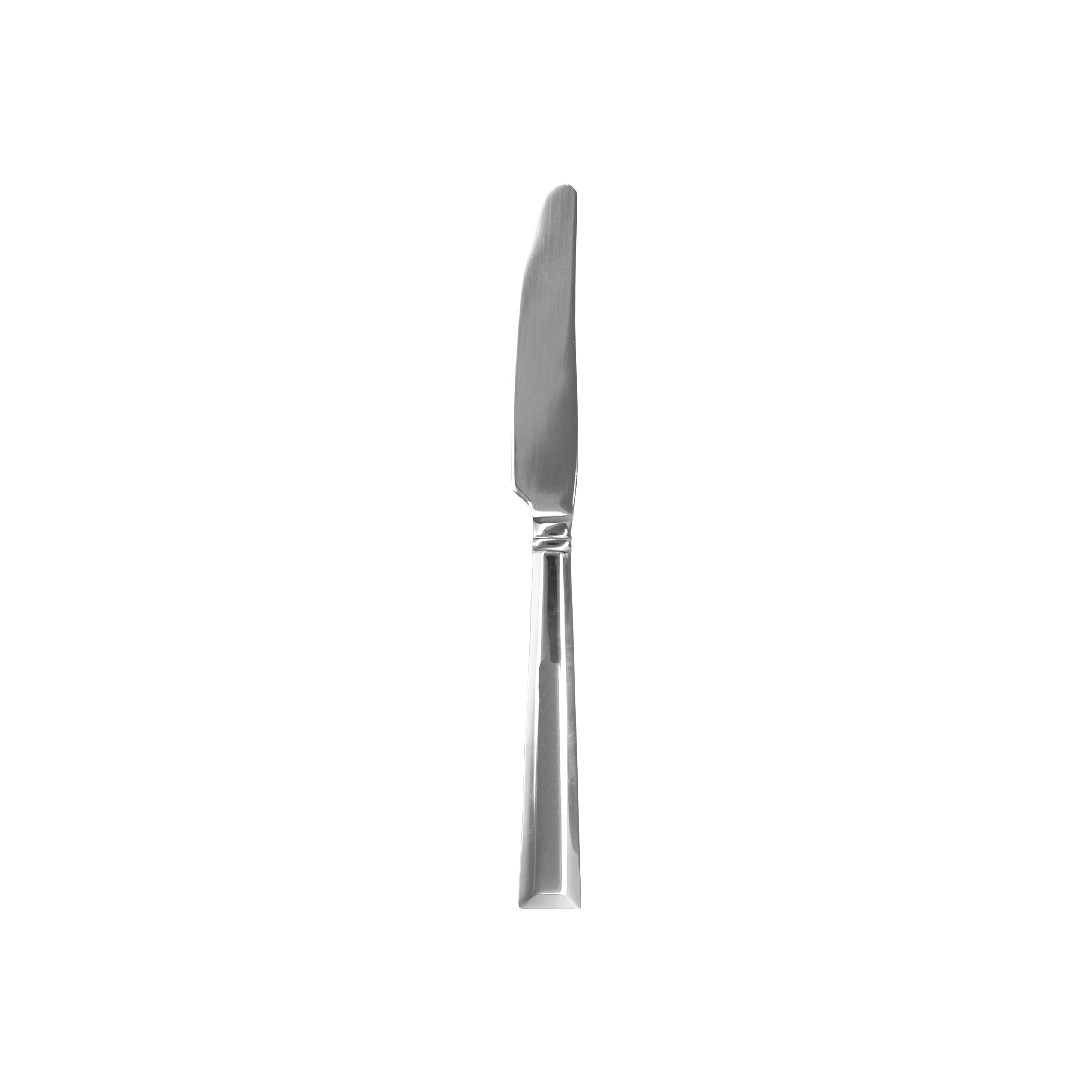 Truss Dinner Knife 9.25