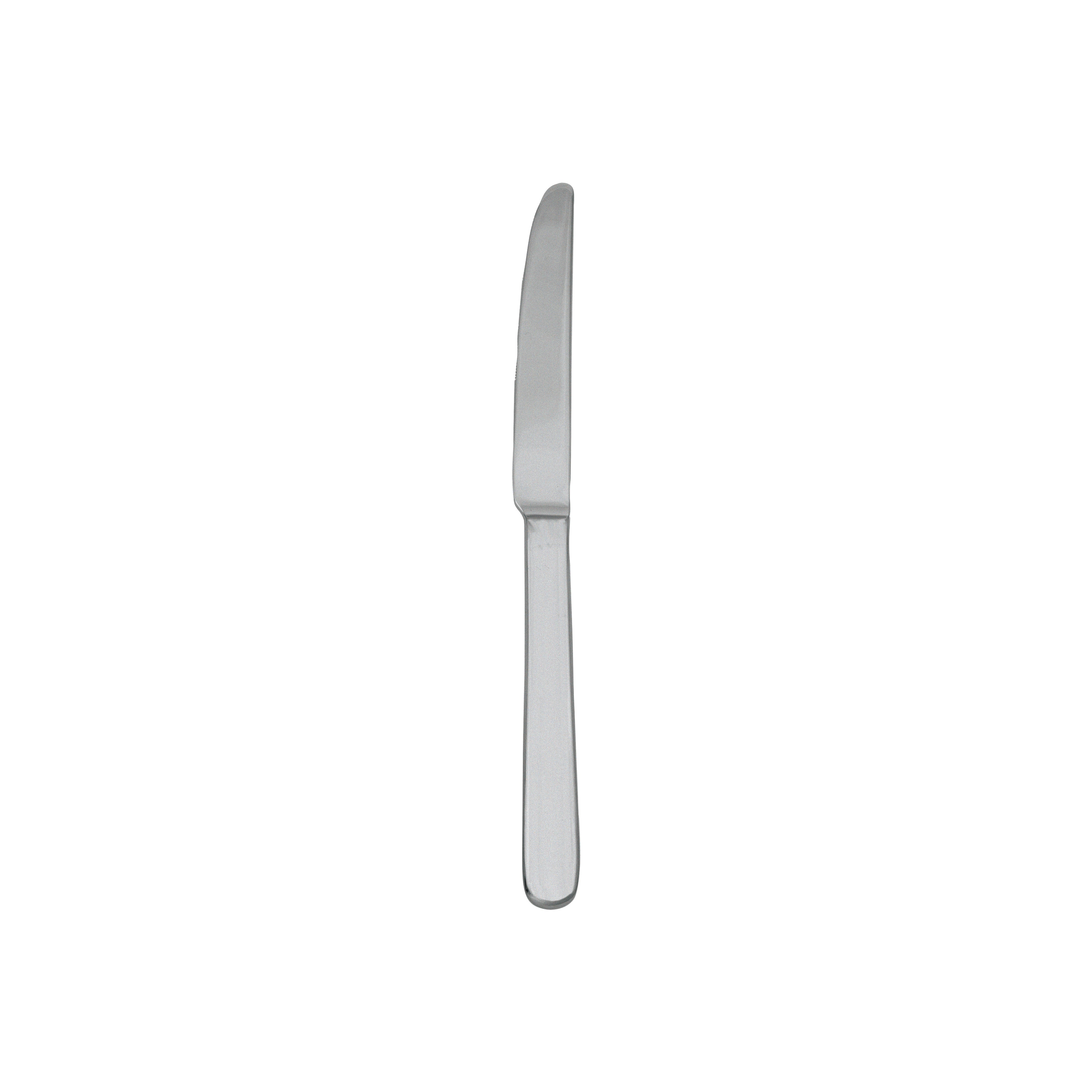 Star European Dinner Knife 9.25