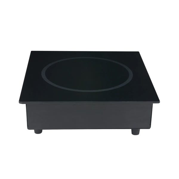 MAX Induction International Built-In Induction Range - 220-240V, 2,600W