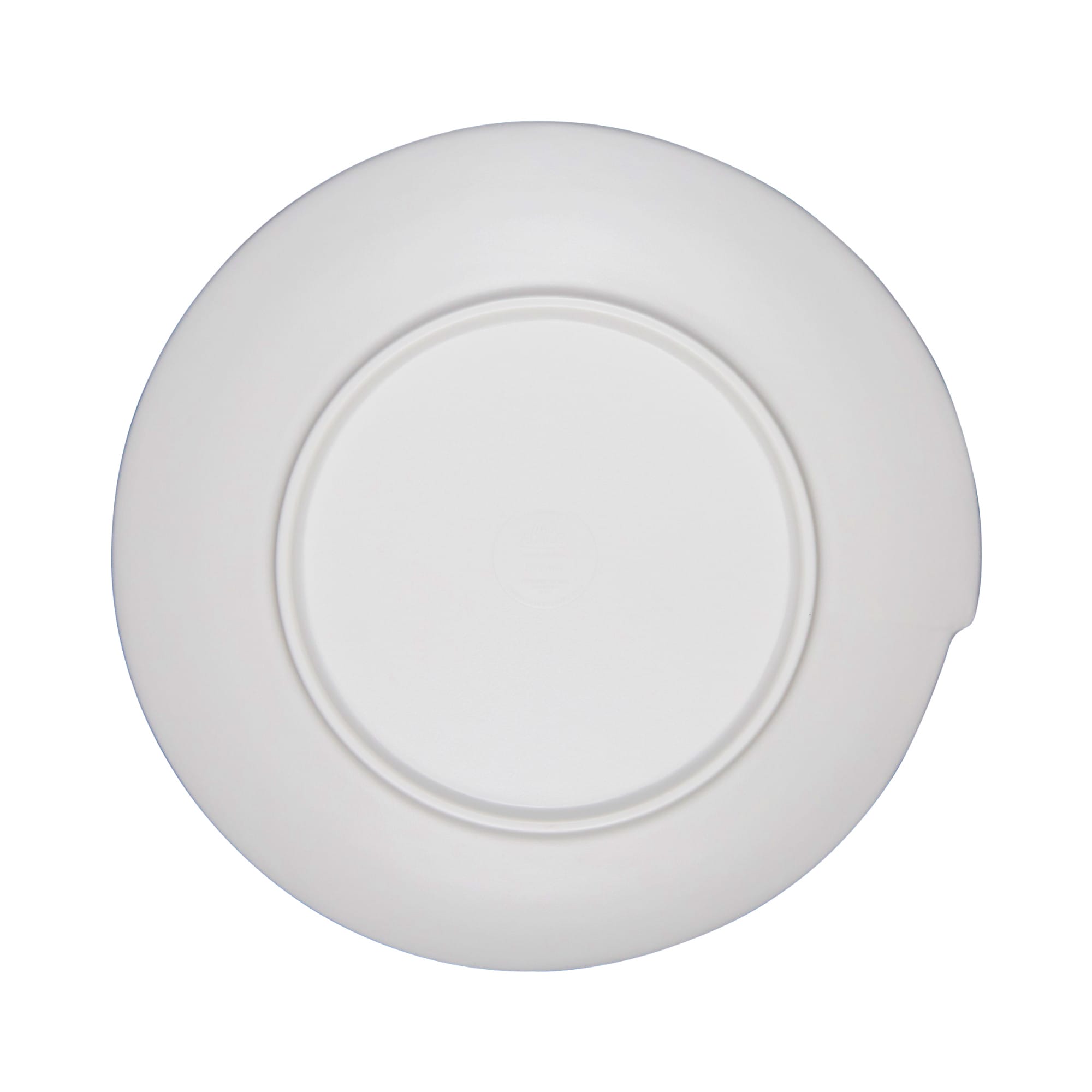 Elite Global Solutions Catalina 10-5/8" Irregular Round Melamine Plate, Light Blue