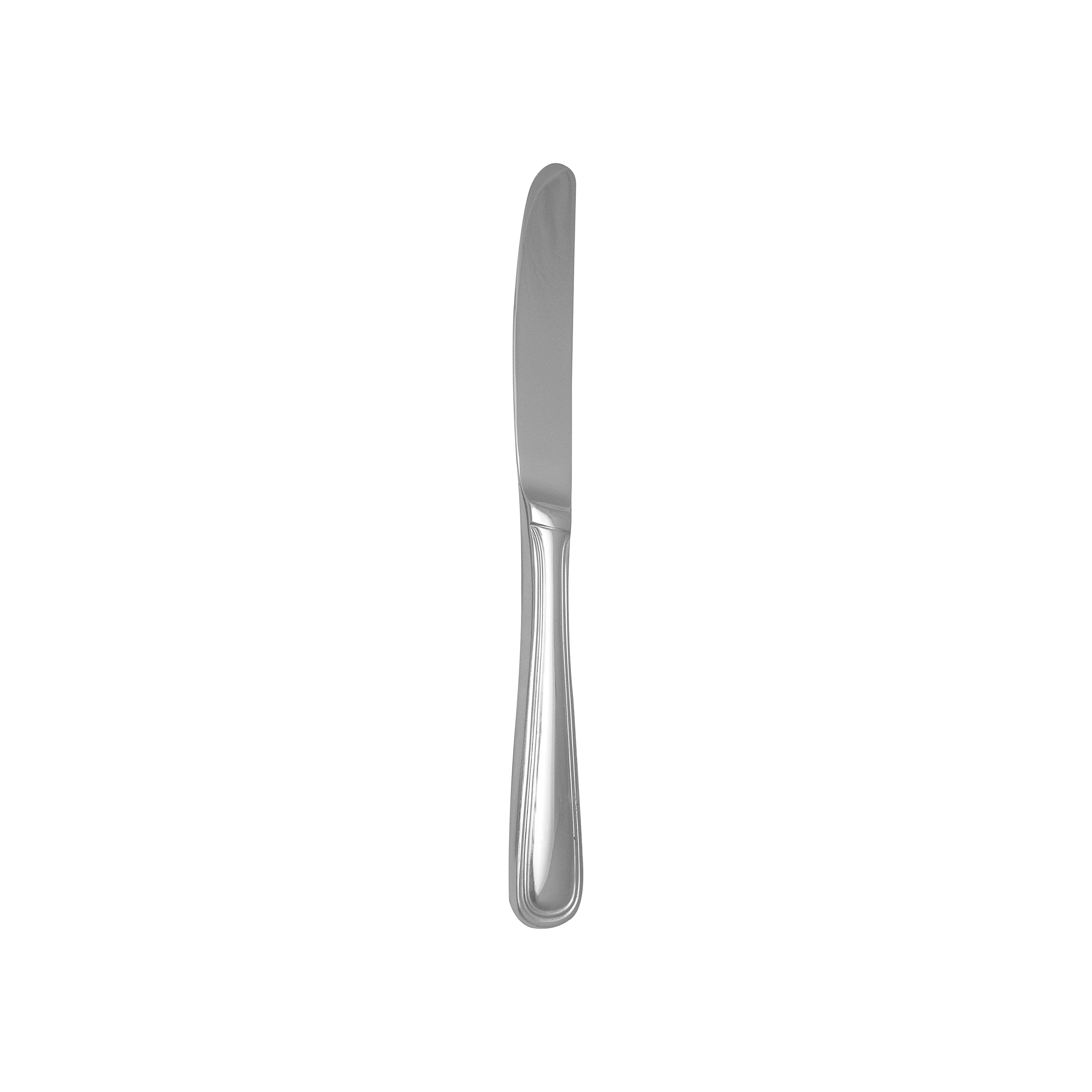 Pacific Rim European Dinner Knife 9.5