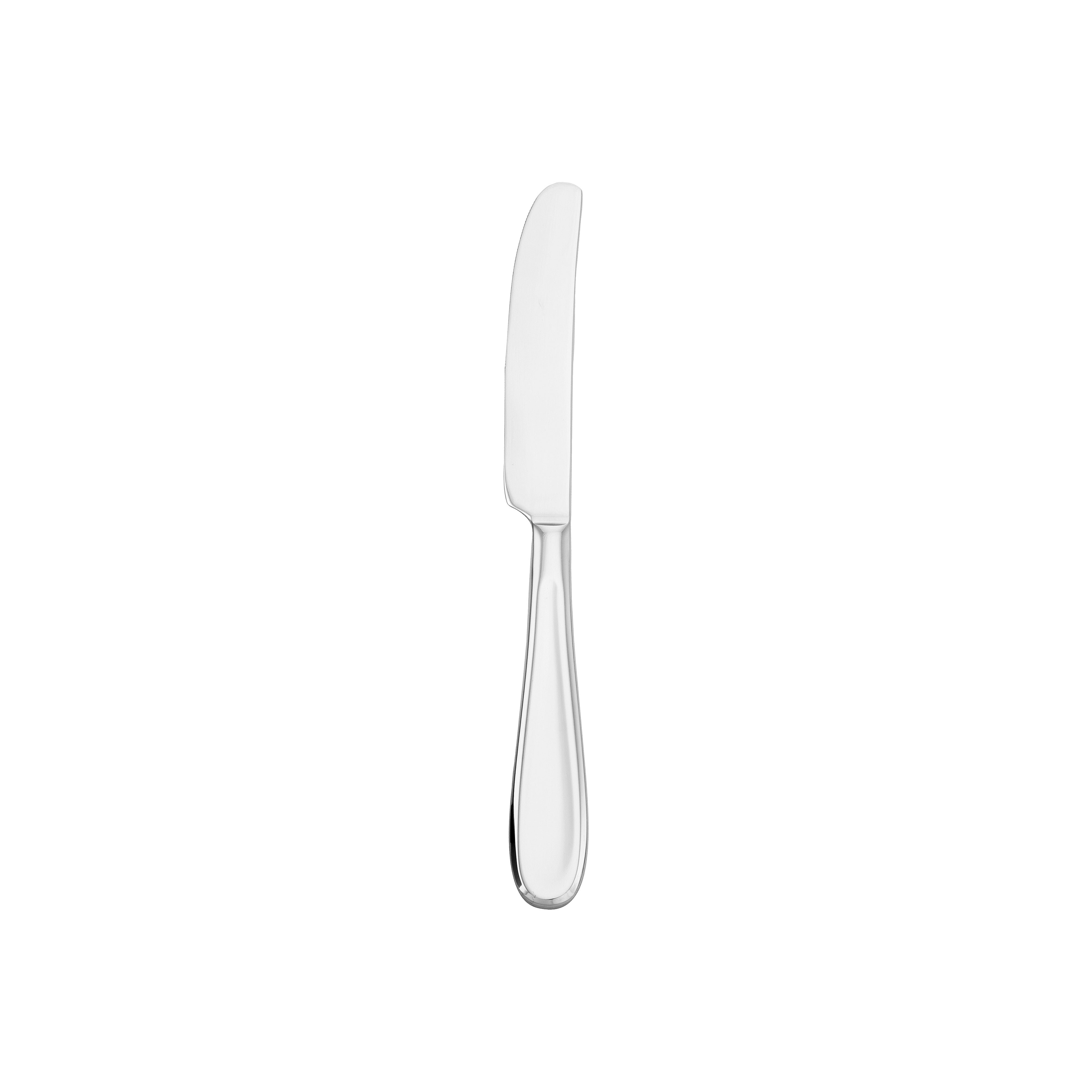 Orbiter Dinner Knife 9.25