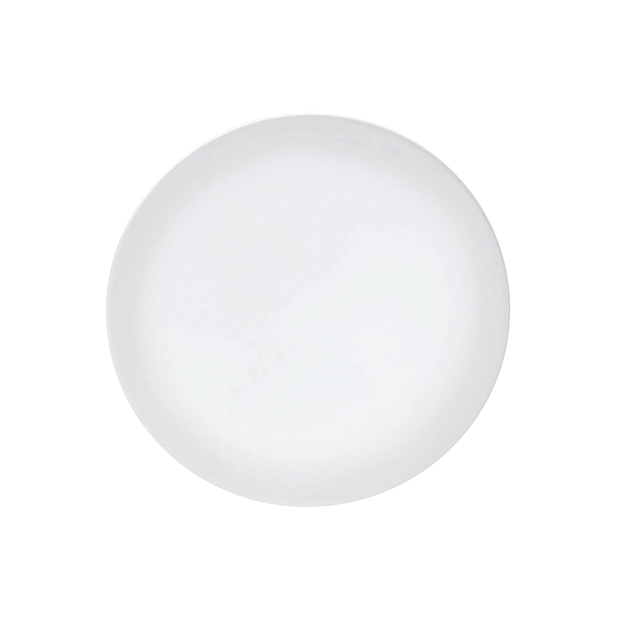 Plate 8.75" Dia. Frost