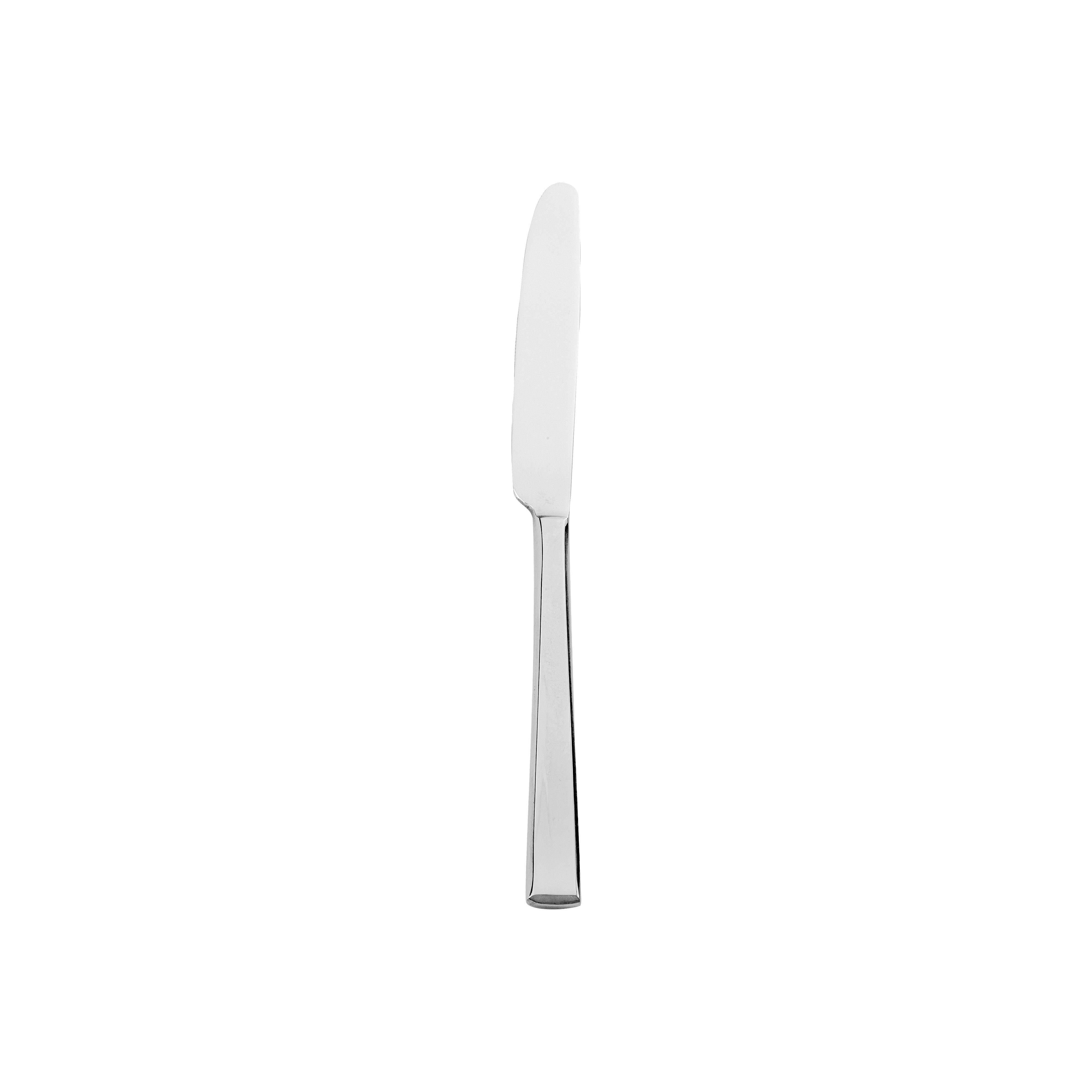 Baypoint European Dinner Knife 9.5