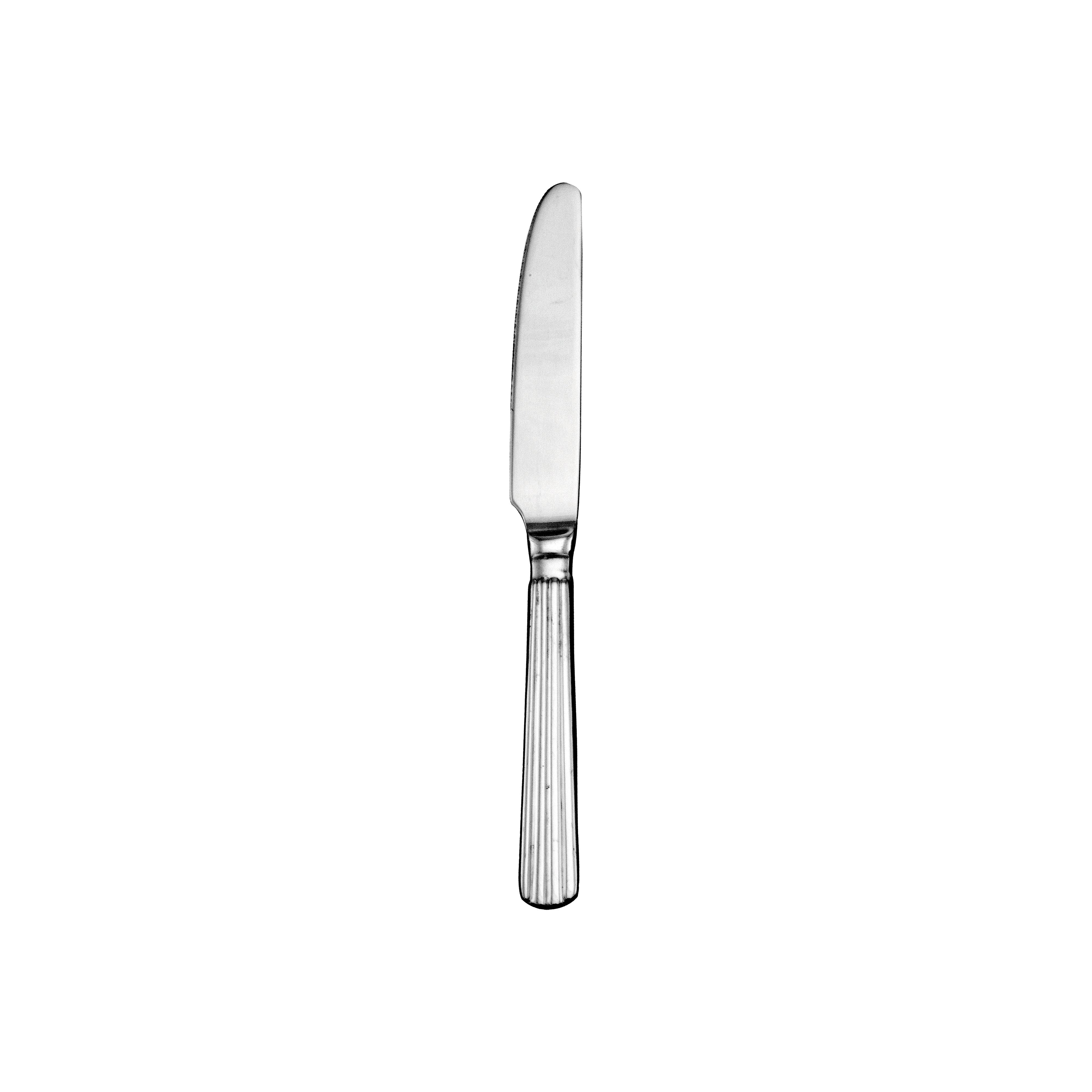 Meteor Dinner Knife 9.125